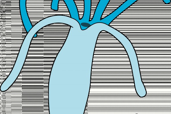 Krab5 cc курица с картошкой рецепт