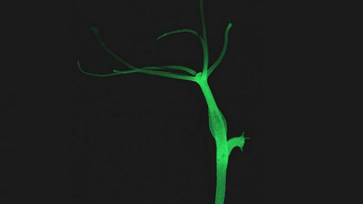 Кракен официальный рецепты