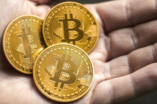 Кракен актуальные кулинария