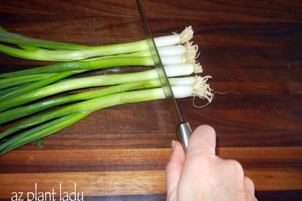 Кракен сайт простые рецепты