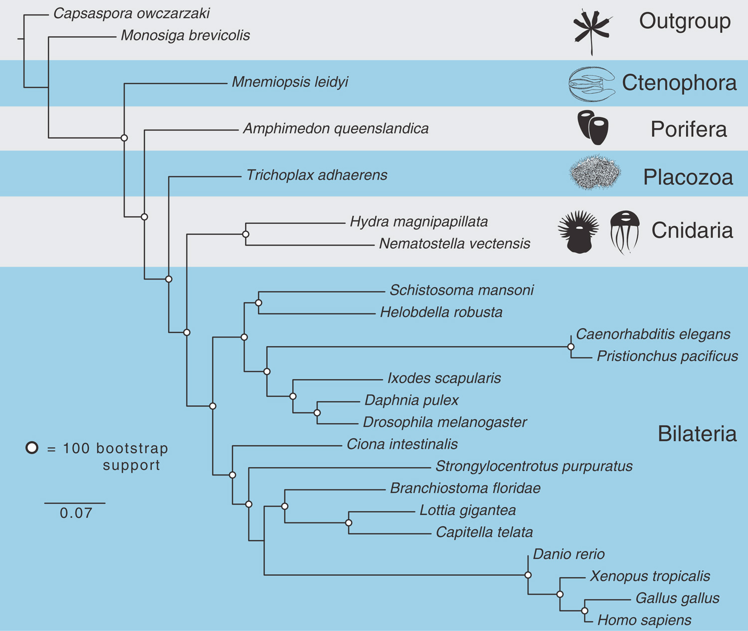 Кракен маркетплейс полезные рецепты