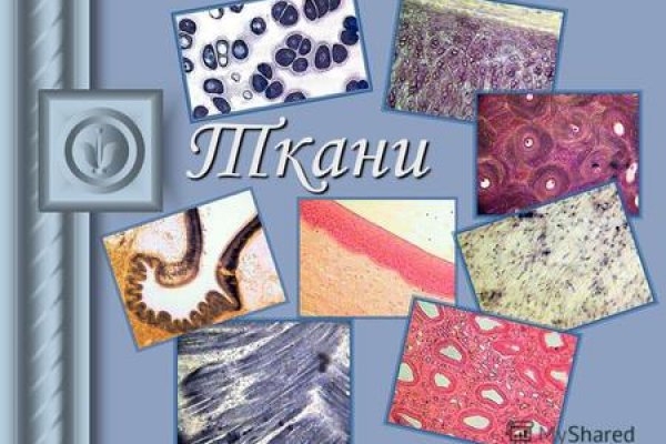 Кракен сайт ссылка простые рецепты