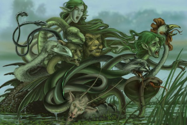 Магазины кракен полезные рецепты