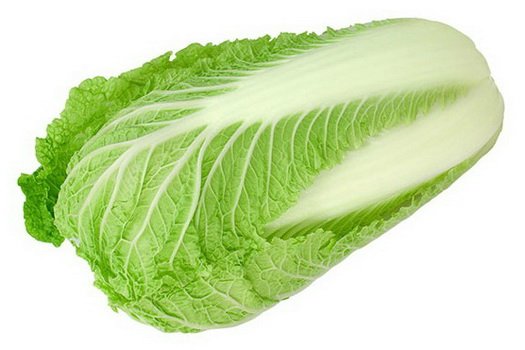 Jenis Jenis Lettuce Dan Gambarnya